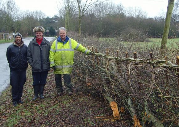 A Living Fence for Wildlife