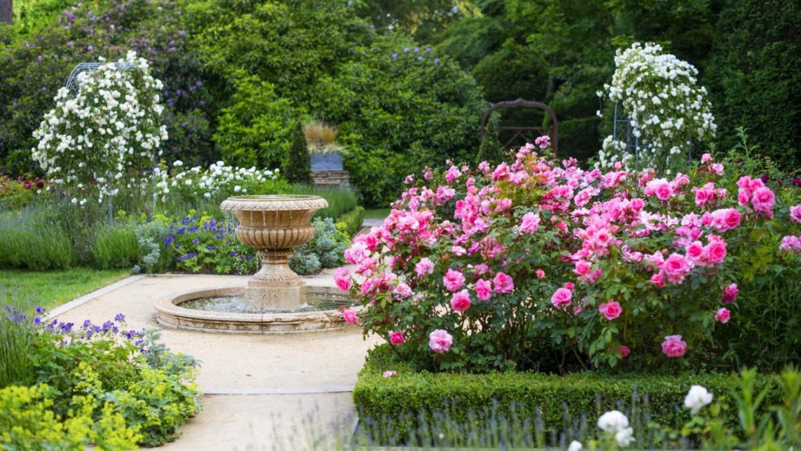 Rose Garden