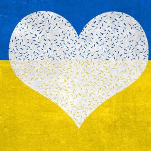 The crisis in Ukraine