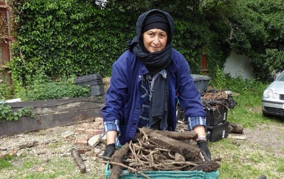 feature Worldwide Opportunities on Organic Farms