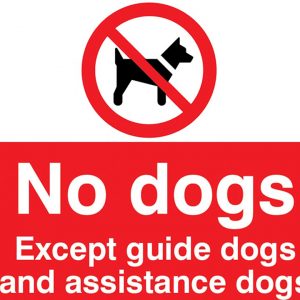 No Dogs allowed on site