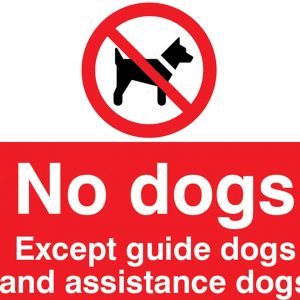 No Dogs allowed on site