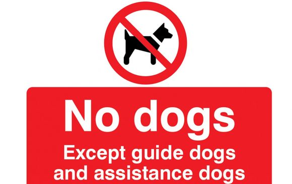 No Dogs allowed on site