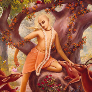 Gaura Purnima / Holika Dahan (Festival)