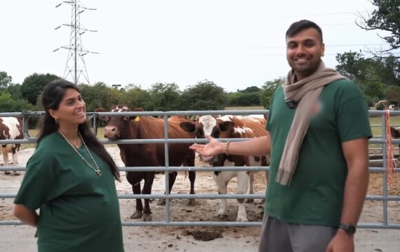Why we love cows featured “Why we consider cows our family”