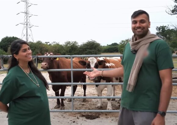 “Why we consider cows our family”