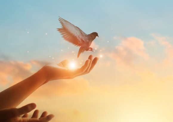 The Power of Forgiveness