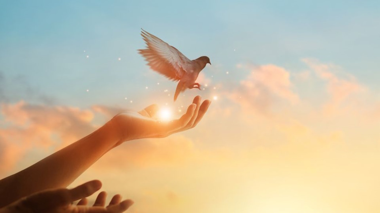 forgiveness The Power of Forgiveness