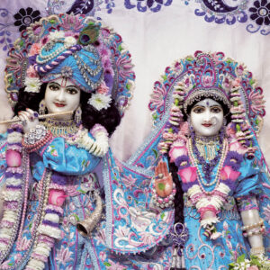 Celebrating Sri Sri Radha Gokulananda