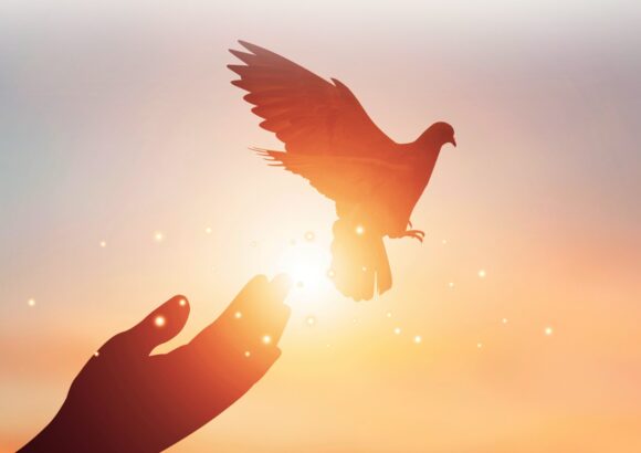 The Power of Forgiveness