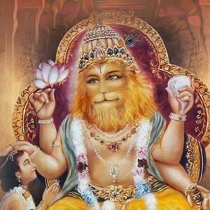 Fearlessness: A Day with Nrsimhadev