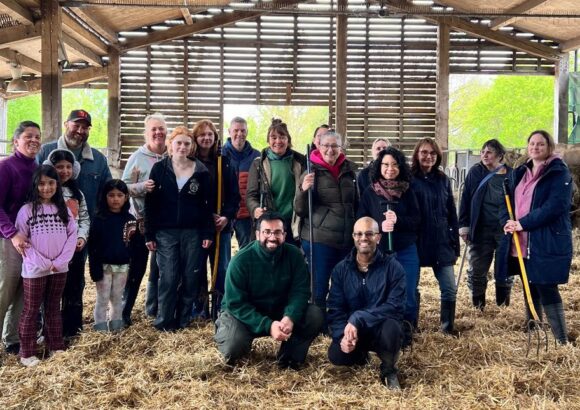 Krishna Wisdom Launches ‘Cows and Farm Retreat’