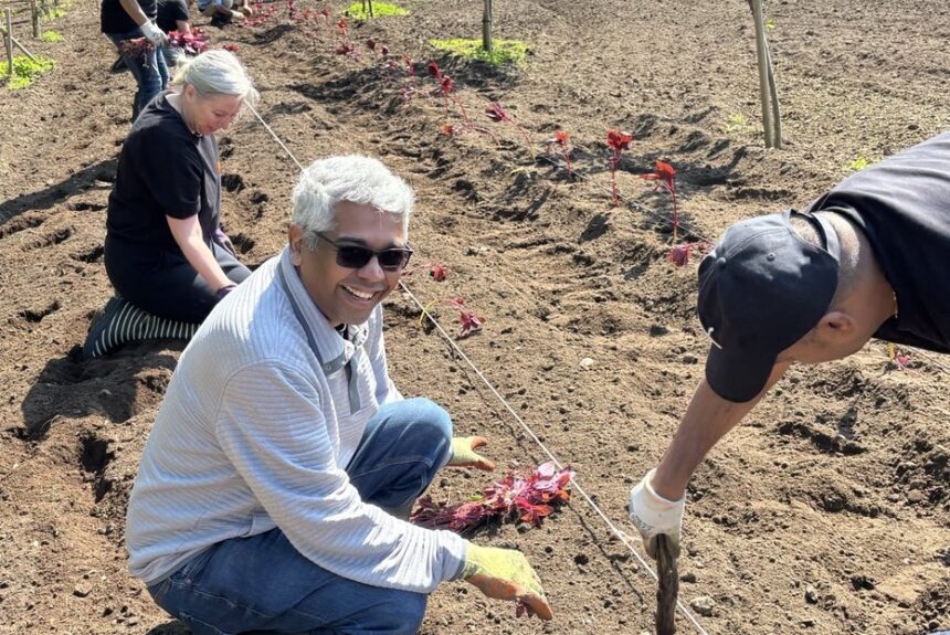 From Cubicles to Crops: Corporates Volunteer at Farm