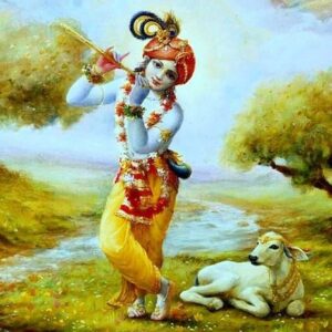 Discover Krishna’s Superpowers