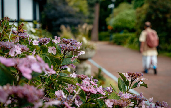 Looking Inwards Looking Inwards