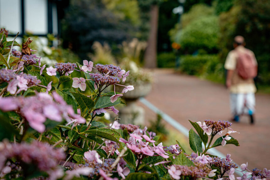 Looking Inwards Looking Inwards