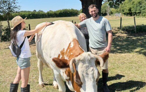 Adults Yoga and Fitness Barn Day Retreat