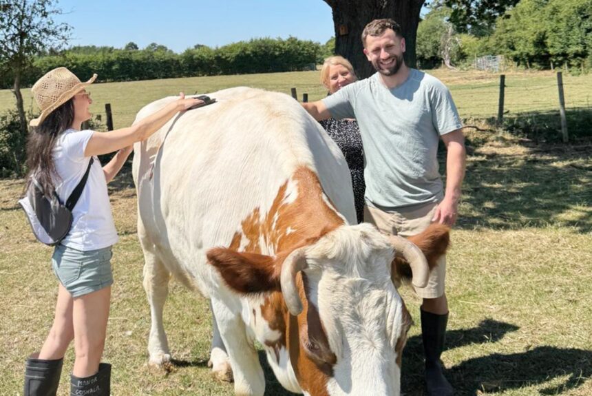 Adults Yoga and Fitness Barn Day Retreat