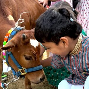 Kids Art and Zebu Barn Day Retreat