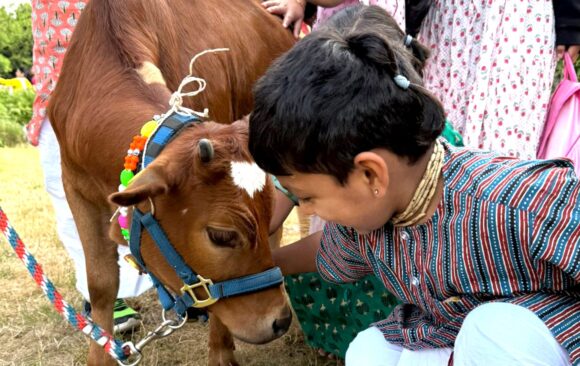 Kids Art and Zebu Barn Day Retreat