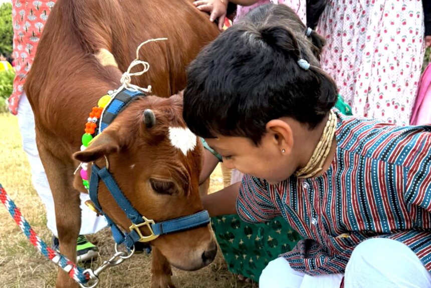 Kids Art and Zebu Barn Day Retreat