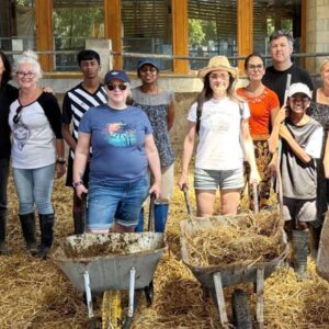 Adults Sound Healing and Art Barn Day Retreat