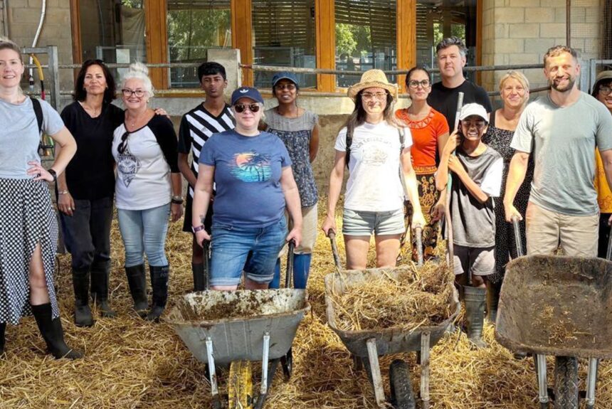 WhatsApp Image 2026-01-18 at 19.54.51 (1) Adults Sound Healing and Art Barn Day Retreat