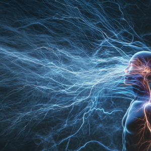 Balance your nervous system,_ Balance your nervous system, transform your life