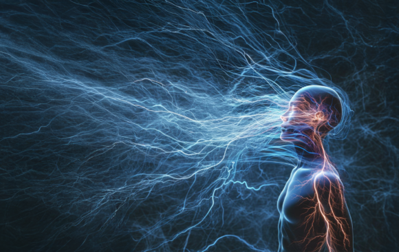 Balance your nervous system,_ Balance your nervous system, transform your life