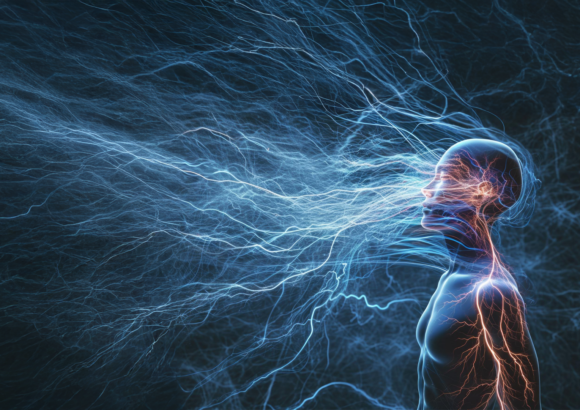 Balance your nervous system, transform your life